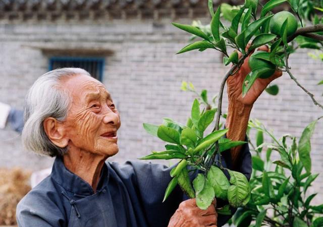 長(zhǎng)壽的人有哪些特點(diǎn)?年紀(jì)大了如何養(yǎng)生? 長(zhǎng)壽的人有哪些特點(diǎn)?年紀(jì)大了如何養(yǎng)生?