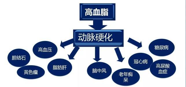 高血脂一般會產生什么樣的危害呢?高血脂有什么危害? 高血脂一般會產生什么樣的危害呢?高血脂有什么危害?